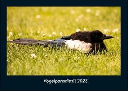 Vogelparadies 2023 Fotokalender DIN A4