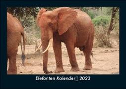 Elefanten Kalender 2023 Fotokalender DIN A5