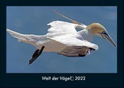 Welt der Vögel 2023 Fotokalender DIN A4