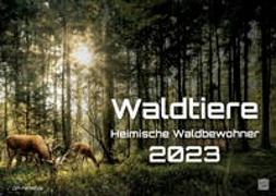 Waldtiere - Heimische Waldbewohner - Der Tierkalender - 2023 - Kalender DIN A3