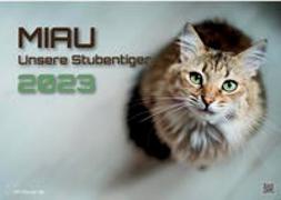 Miau - Unsere Stubentiger - Der Katzenkalender - 2023 - Kalender DIN A3