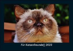 Für Katzenfreunde 2023 Fotokalender DIN A5