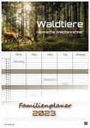 Waldtiere - Heimische Waldbewohner - Der Tierkalender - 2023 - Kalender DIN A3 - (Familienplaner)