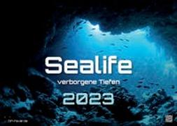 Sealife - verborgene Tiefen - 2023 - Kalender DIN A2