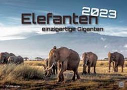 Elefanten - einzigartige Giganten - 2023 - Kalender DIN A3