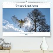 Naturschönheiten im Biosphärerenreservat Rhön (Premium, hochwertiger DIN A2 Wandkalender 2023, Kunstdruck in Hochglanz)