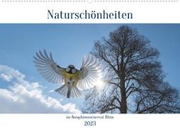 Naturschönheiten im Biosphärerenreservat Rhön (Wandkalender 2023 DIN A2 quer)