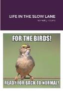LIFE IN THE SLOW LANE