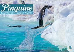 Pinguine: Erlebnisse in eisigen Welten (Wandkalender 2023 DIN A2 quer)