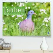 Tauben rund um die ganze Welt (Premium, hochwertiger DIN A2 Wandkalender 2023, Kunstdruck in Hochglanz)