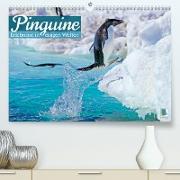 Pinguine: Erlebnisse in eisigen Welten (Premium, hochwertiger DIN A2 Wandkalender 2023, Kunstdruck in Hochglanz)