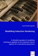 Modelling Induction Hardening