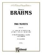 Two Motets, Op. 29, Es Ist Das Heil and Schaffe in Mir: Satbb (German Language Edition)