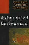 Modelling & Numerics of Kinetic Dissipative Systems