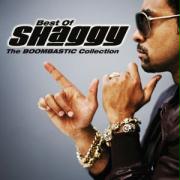 The Boombastic Collection-Best Of Shaggy