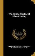 The Art and Practice of Silver Printing