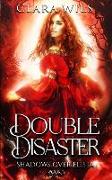 Double Disaster: An Epic Fantasy Reverse Harem