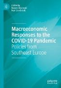Macroeconomic Responses to the COVID-19 Pandemic