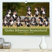 Großer Schweizer Sennenhund - Mit Schweizer Welpen durch das Jahr (Premium, hochwertiger DIN A2 Wandkalender 2023, Kunstdruck in Hochglanz)