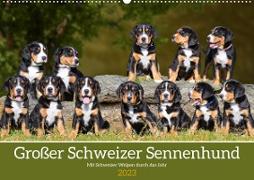 Großer Schweizer Sennenhund - Mit Schweizer Welpen durch das Jahr (Wandkalender 2023 DIN A2 quer)