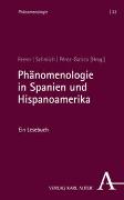 Phänomenologie in Spanien und Hispanoamerika