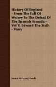 History of England - From the Fall of Wolsey to the Defeat of the Spanish Armada - Vol V