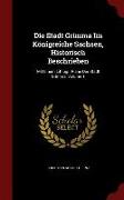 Die Stadt Grimma Im Königreiche Sachsen, Historisch Beschrieben: Mit Einem Lithogr. Plane Der Stadt Grimma, Volume 1