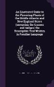 An Illustrated Guide to the Flowering Plants of the Middle Atlantic and New England States (excepting the Grasses and Sedges) the Descriptive Text Wri