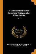 A Commentary on the Scientific Writings of J. Willard Gibbs, Volume 1