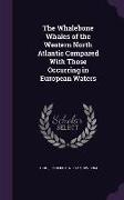 The Whalebone Whales of the Western North Atlantic Compared with Those Occurring in European Waters