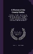 A History of the County Dublin: The People, Parishes and Antiquities From the Earliest Times to the Close Of the Eighteenth Century. ... Being a Histo
