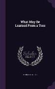 What May Be Learned from a Tree