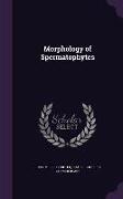 Morphology of Spermatophytes