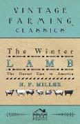 The Winter Lamb