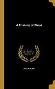 HIST OF SINAI