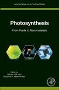 Photosynthesis