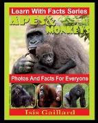 Apes and Monkeys Photos and Facts for Everyone: Animals in Nature