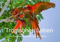 Tropisches Leben Ein Paradies des Lebens und der Farben (Wandkalender 2023 DIN A2 quer)