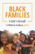 Black Families: A Systems Approach