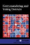 Gerrymandering and Voting Districts
