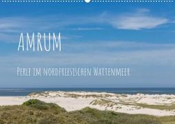 Amrum - Perle im nordfriesischen Wattenmeer (Wandkalender 2023 DIN A2 quer)