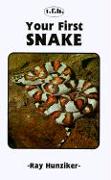 Your First Snake