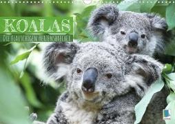 Koalas: die flauschigen Herzensbrecher (Wandkalender 2023 DIN A3 quer)