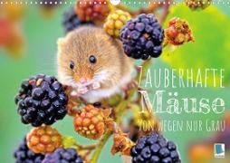 Zauberhafte Mäuse: Von wegen nur Grau (Wandkalender 2023 DIN A3 quer)