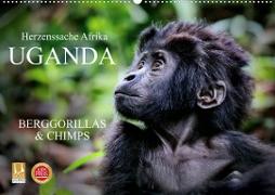 UGANDA - Berggorillas & Chimps (Wandkalender 2023 DIN A2 quer)