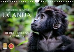 UGANDA - Berggorillas & Chimps (Wandkalender 2023 DIN A4 quer)