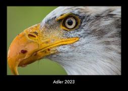 Adler 2023 Fotokalender DIN A3