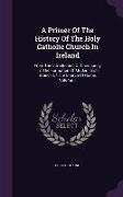 A Primer Of The History Of The Holy Catholic Church In Ireland: From The Introduction Of Christianity To The Formation Of Modern Irish Branch Of The C