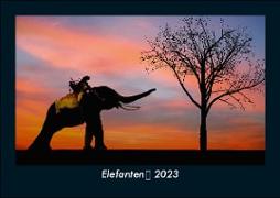 Elefanten 2023 Fotokalender DIN A5