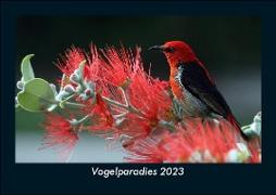 Vogelparadies 2023 Fotokalender DIN A5